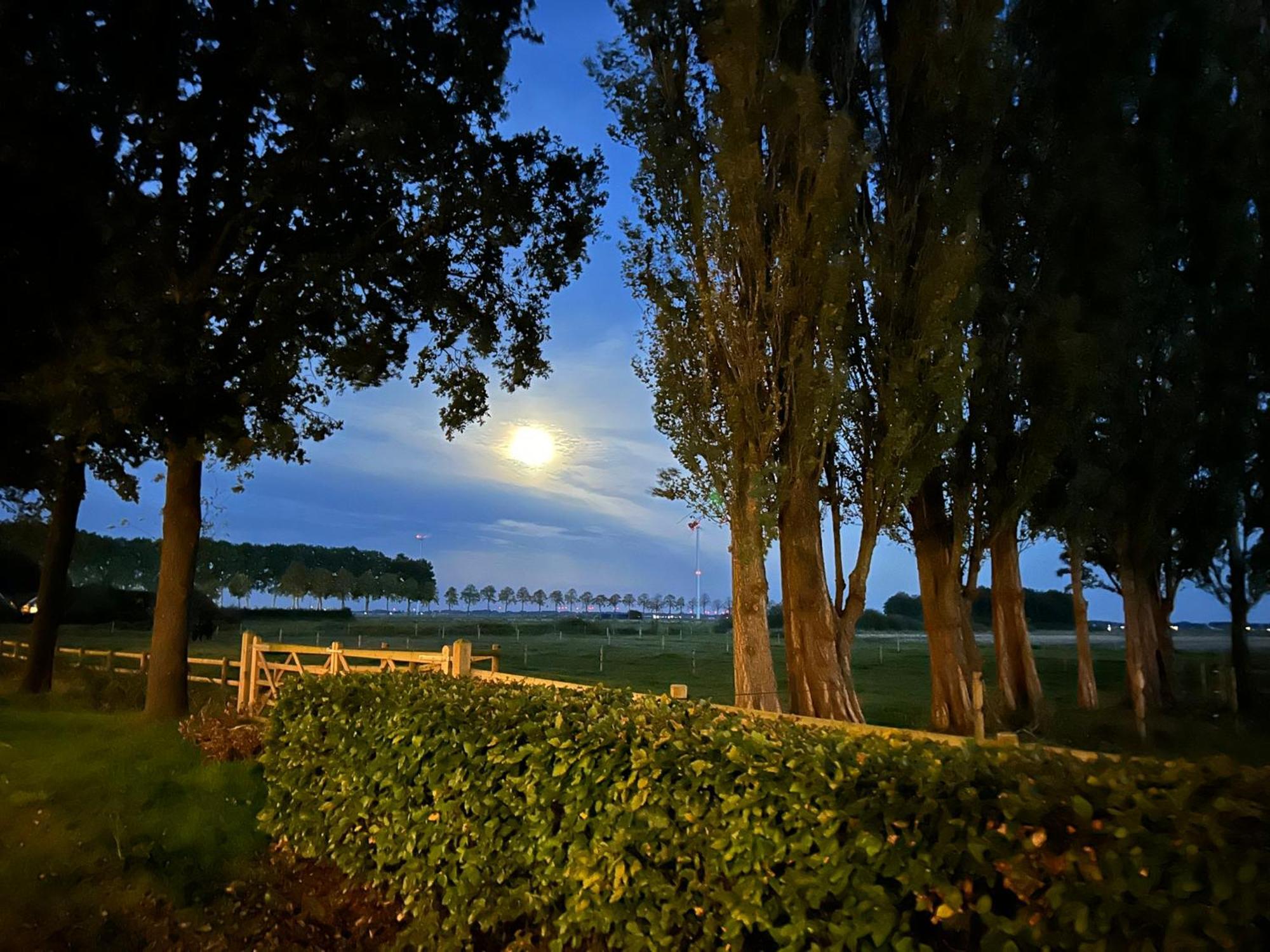 De Cordobahoeve Tweede Exloermond Bagian luar foto