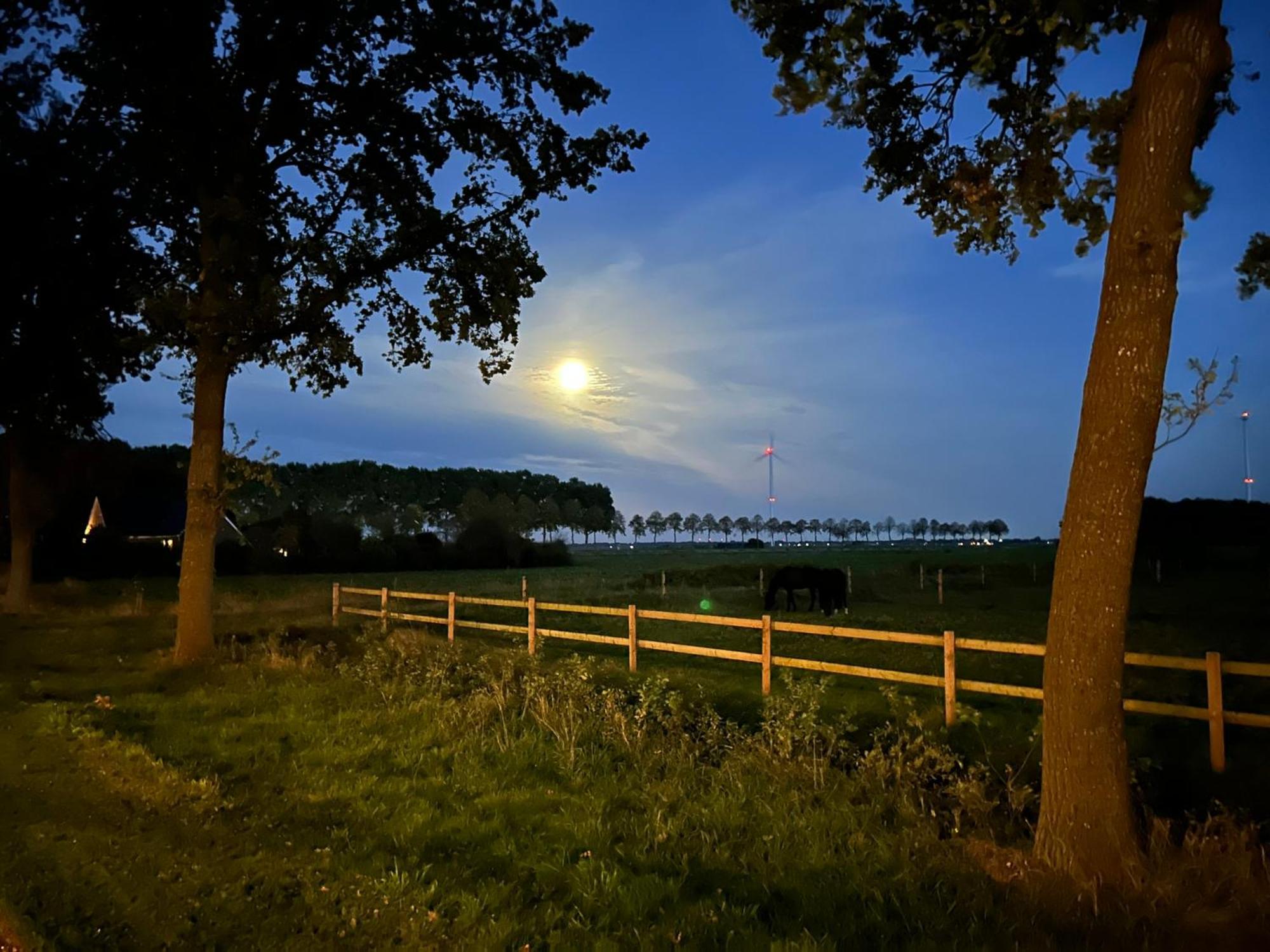 De Cordobahoeve Tweede Exloermond Bagian luar foto